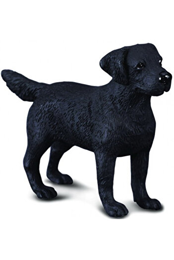 Collecta Labrador Retriever M - Animal Figurine