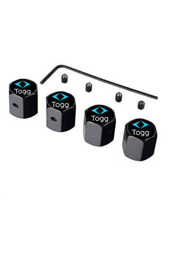 GARDENAUTO Togg Valve Cover - Alyan Anti-Theft Safe
