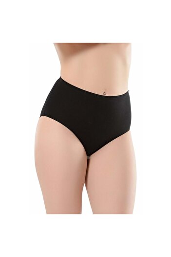 Belinay High Waist 069 Modal Panties - Pack of 12