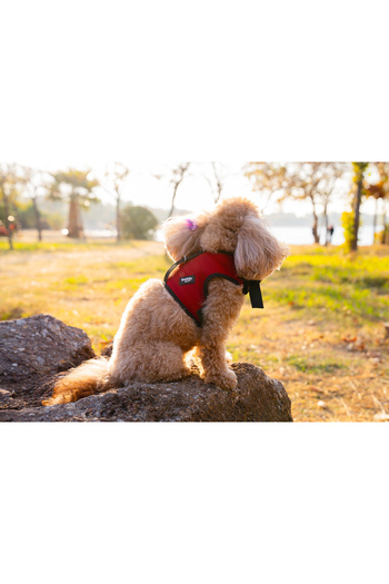 Buddy Store Cat & Dog Harness - Airmesh New Generation Breathable Fabric Red Harness