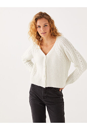 LC Waikiki Long Sleeve V-Neck Patterned Women's Knitwear Cardigan