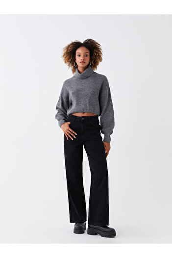 LC Waikiki Turtleneck Plain Long Sleeve Crop Women's Knitwear Sweater
