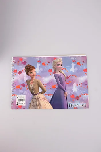 Disney Frozen Elsa Picture Book