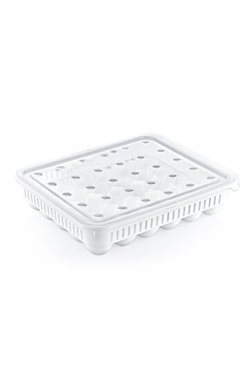 KutuluStore 30 Egg Storage Container (4767) - Vsr1877-8248