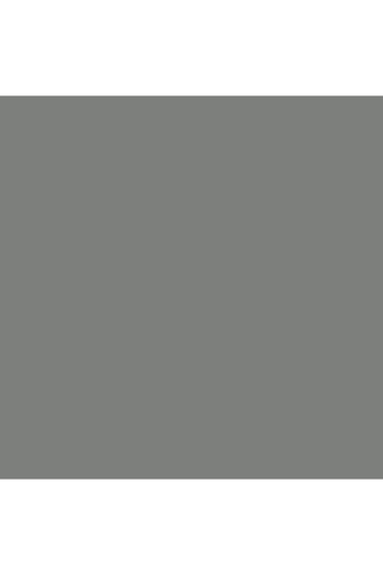 Krylon Colormaxx Spray Paint and Primer 12oz K05513007