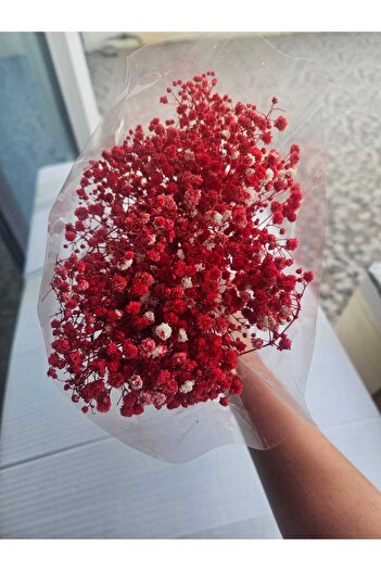 Masal Tasarım Red Color Real Shocked Cipso , Dry Flower Shocked Cipso 55 g