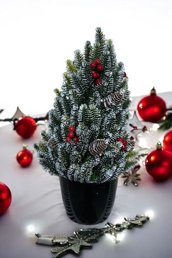 YAPAY ÇİÇEKÇİNİZ Christmas Tree 35 cm