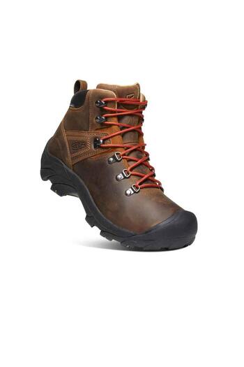 Keen Pyrenees Erkek Bot