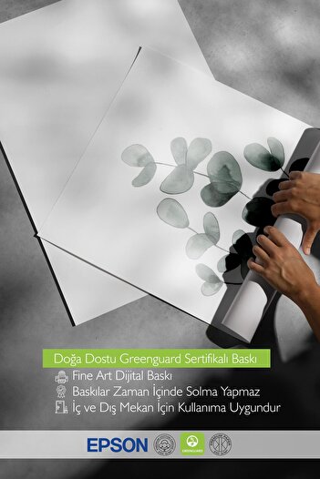 Postifull Eucalyptus No1 Poster, Frameless Wall Poster, Vertical Wall Painting Comfort Series No: 108454