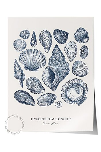 Postifull Blue Shells Poster Frameless Wall Vertical Wall Painting Comfort Series No: 108436