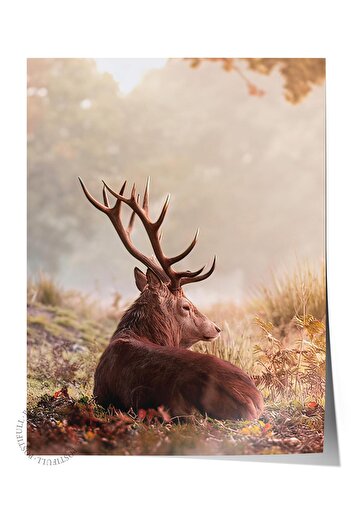 Postifull Red Deer Poster, Unframed Wall Poster, Vertical Wall Painting Comfort Series No: 108351