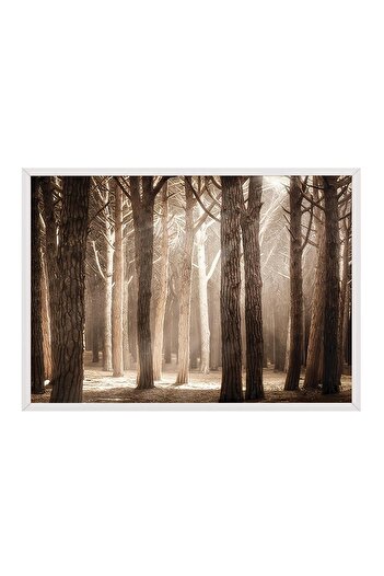 Postifull Magical Forest Sunlight Framed Painting, Horizontal Wall Painting Comfort Series No:108355