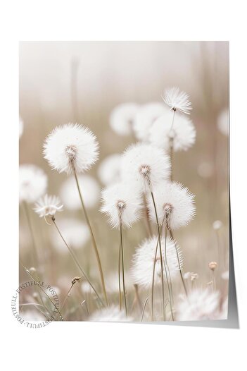Postifull Cottongrass Poster, Frameless Wall Poster, Vertical Wall Painting Comfort Series No: 108310
