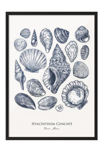 Postifull Blue Shells Framed Painting, Black Frame and Poster, Vertical Wall Painting Comfort Series No:108436