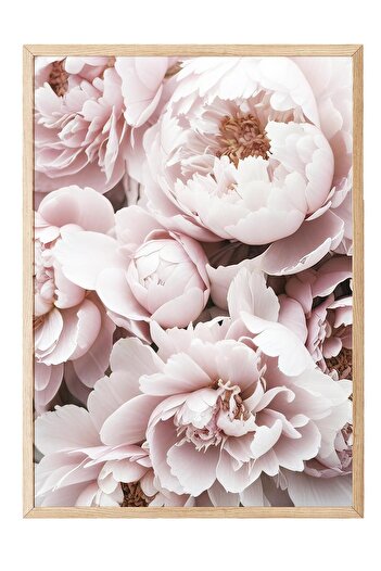 Postifull Pink Peony Dream Framed Painting, Wooden Frame and Poster, Wall Painting Comfort Series No:108369