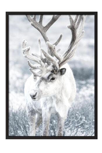 Postifull Winter Reindeer Framed Painting, Black Frame and Poster, Wall Painting Comfort Series No:108509
