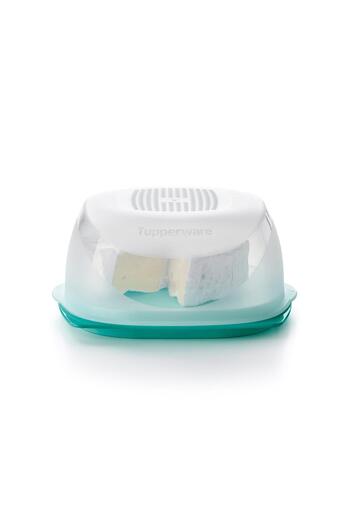 Tupperware Turquoise Cheese Storage Container - Cheese World