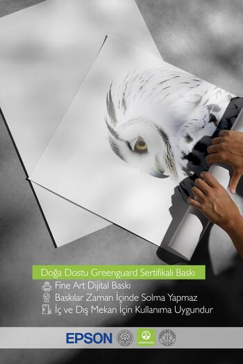 Postifull Owl Poster, Frameless Wall Poster, Vertical Wall Painting Comfort Series No: 108301