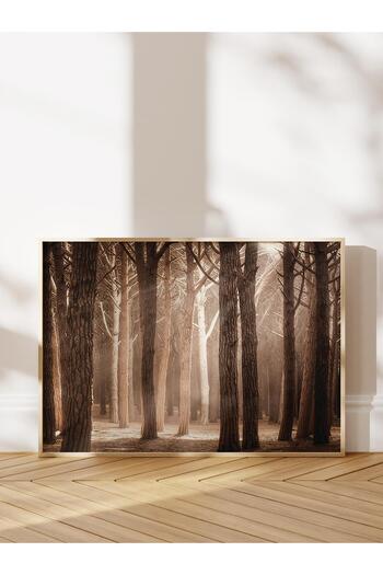 Postifull Magical Forest Sunlight Framed Painting, Horizontal Wall Painting Comfort Series No:108355