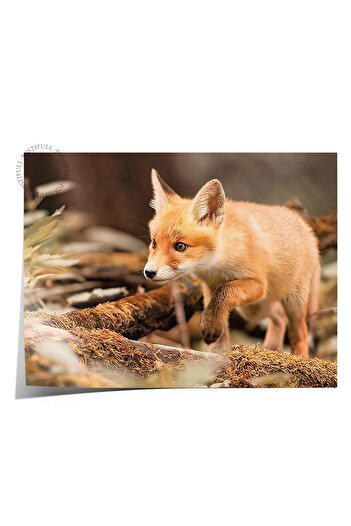 Postifull Forest Fox Poster, Frameless Wall Poster, Horizontal Wall Painting Comfort Series No: 108349