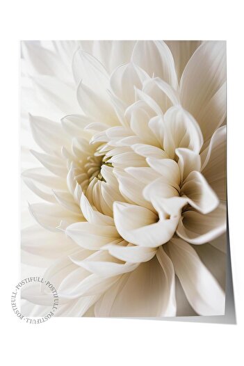 Postifull White Dahlia Poster, Unframed Wall Poster, Vertical Wall Painting Comfort Series No: 108311