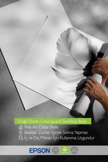 Postifull Feather Poster, Frameless Wall Poster, Vertical Wall Painting Comfort Series No: 108302