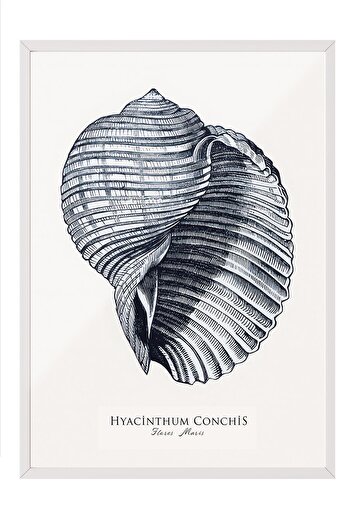 Postifull Blue Seashell Framed Painting, White Frame and Poster, Wall Painting Comfort Series No:108439