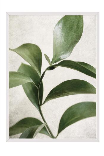 Postifull Green Botanical Framed Painting, White Frame and Poster, Wall Painting Comfort Series No:108467