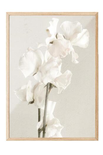 Postifull In Full Bloom Framed Painting, Wooden Frame and Poster, Vertical Wall Painting Comfort Series No:108434