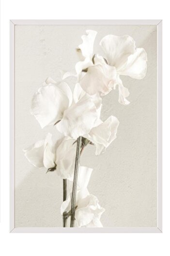 Postifull In Full Bloom Framed Painting, White Frame and Poster, Vertical Wall Painting Comfort Series No:108434
