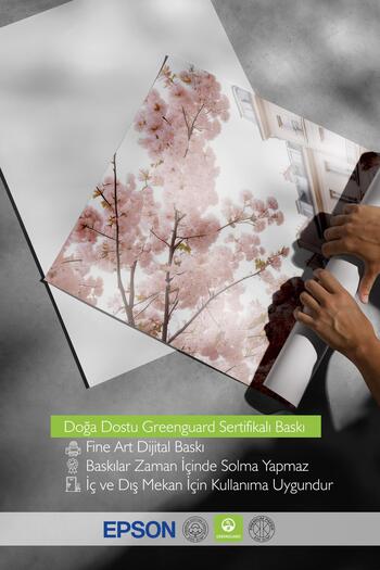 Postifull Cherry Branches Poster, Unframed Wall Poster, Dkey Wall Painting Comfort Series No: 108367