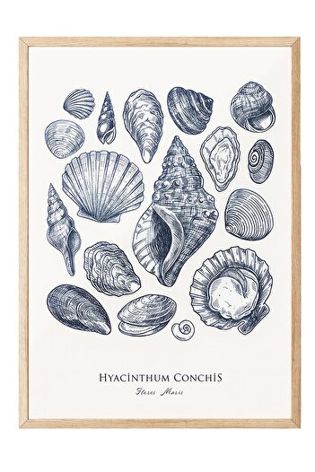 Postifull Blue Shells Framed Painting, Wooden Frame and Poster, Vertical Wall Painting Comfort Series No:108436