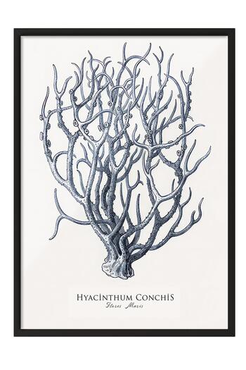 Postifull Blue Coral Framed Painting, Black Frame and Poster, Vertical Wall Painting Comfort Series No:108438