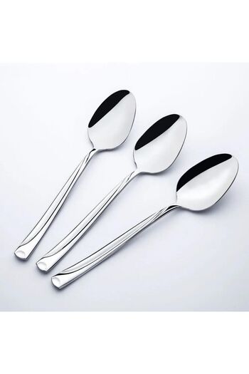 Nehir 12 Pieces Dinner Spoon Set