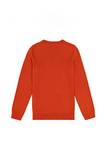 U.S. Polo Assn. Kız Çocuk Kiremit Bisiklet Yaka Basic Kazak 50293586-VR031