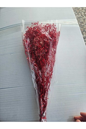 Masal Tasarım Red Color Real Shocked Cipso , Dry Flower Shocked Cipso 55 g