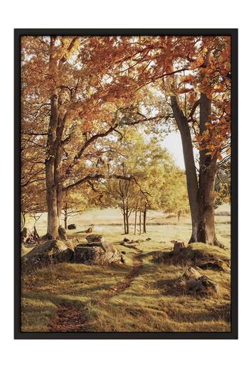 Postifull Warm Grove Canvas Framed Painting, Black Frame and Poster, Wall Painting Comfort Series No:108354