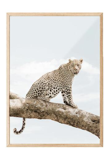 Postifull Resting Leopard Framed Painting, Wooden Frame and Poster, Wall Painting Comfort Series No:108465