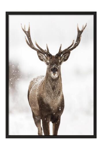 Postifull Red Stag New Year Painting, Black Frame and Poster, Vertical Wall Painting Comfort Series No:108472