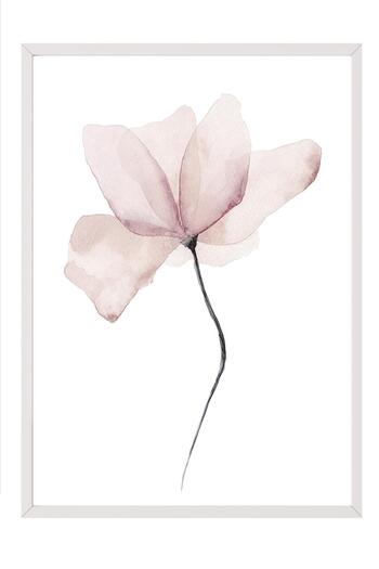 Postifull Watercolor Flower Framed Painting, White Frame and Poster, Wall Painting Comfort Series No:108492