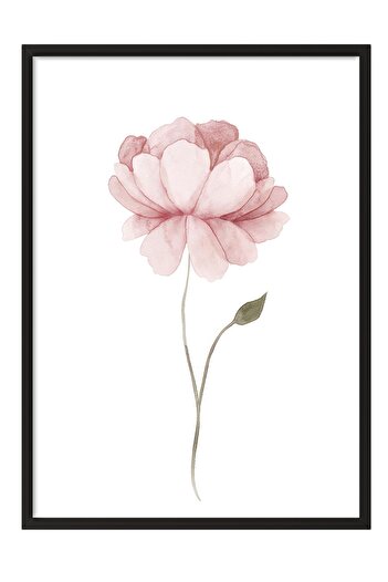 Postifull Watercolour Peony Framed Painting, Black Frame and Poster, Wall Painting Comfort Series No:108493