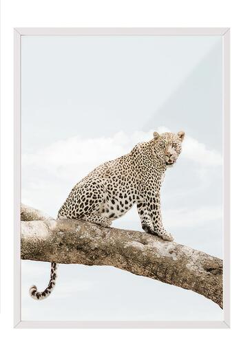 Postifull Resting Leopard Framed Painting, White Frame and Poster, Wall Painting Comfort Series No:108465