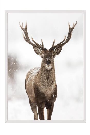 Postifull Red Stag New Year Painting, White Frame and Poster, Vertical Wall Painting Comfort Series No:108472