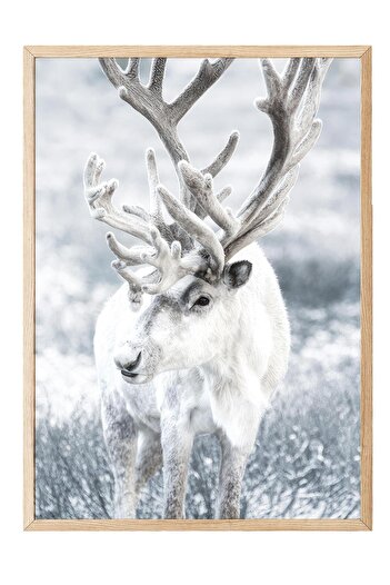 Postifull Winter Reindeer Framed Painting, Wooden Frame and Poster, Wall Painting Comfort Series No:108509