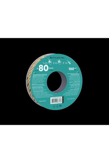 STALEKS Metal Base Roller Spare Sandpaper Papmam 100 Grit