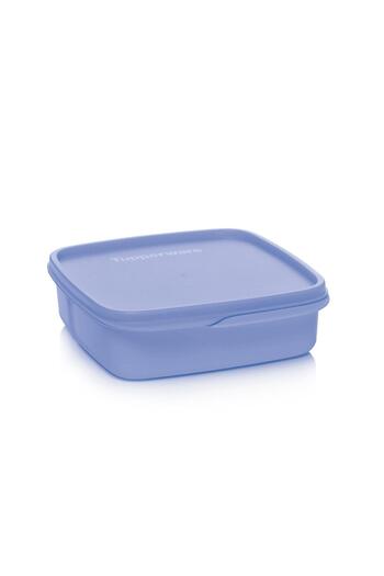 Tupperware 550 ml Blackberry Compartmented Food Carrying Container