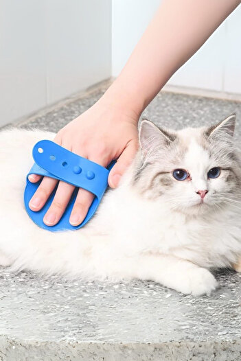 FORSEİ LUCA Pet Hair Collection Washing and Corner Itching Silicone Brush