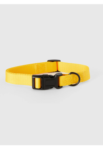 United Colors of Benetton Unisex Mustard Doggy Collar Dog Outfit