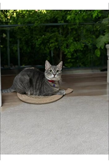 AKTURK HOME Natural Cat Grooming Board Special Pattern