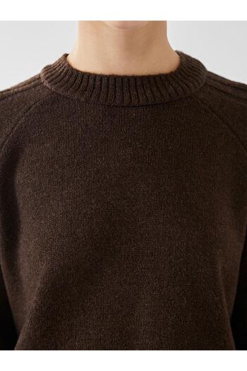 LC Waikiki Lcw Modest Crew Neck Women's Knitwear Tunic
